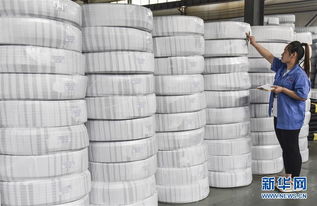 河北景縣 推動傳統(tǒng)橡塑產(chǎn)業(yè)發(fā)展